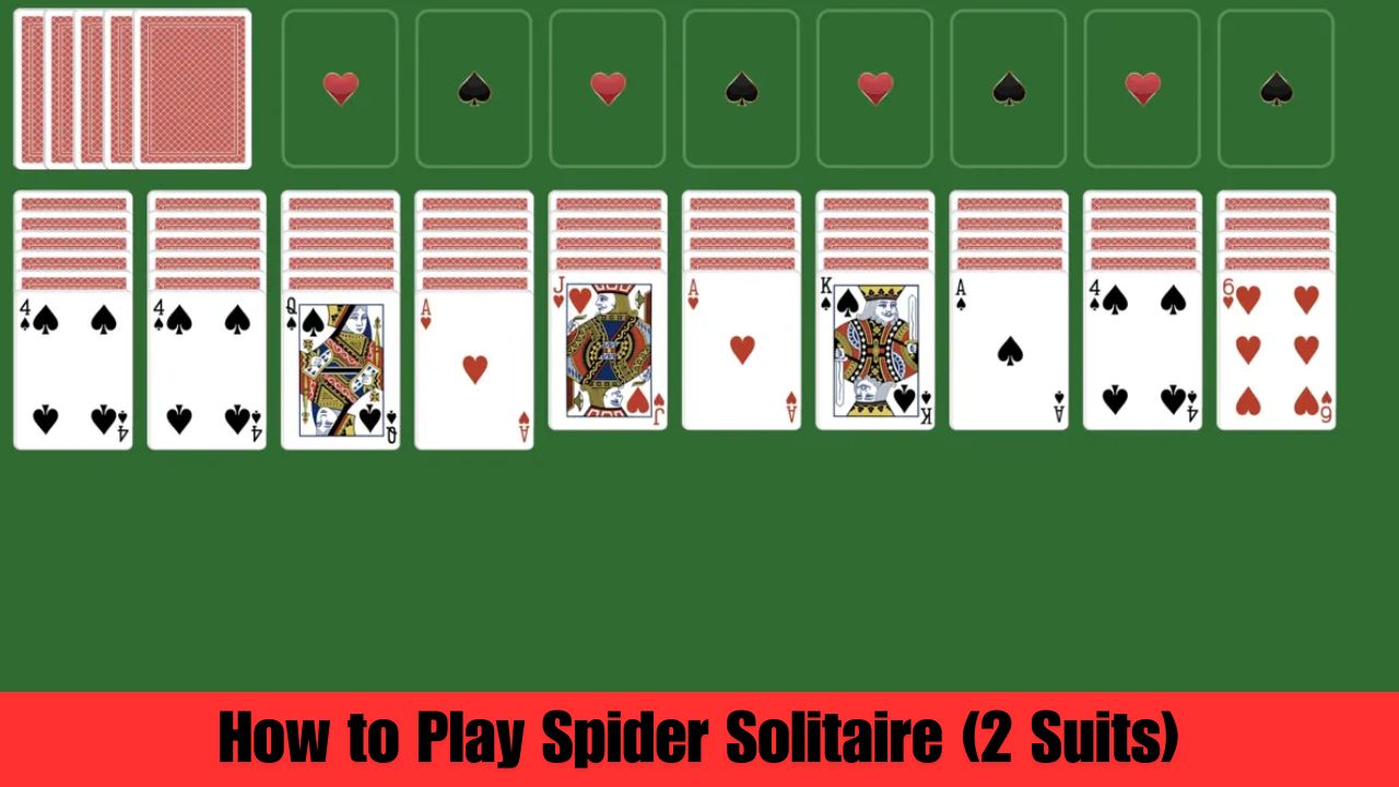 How to Play Spider Solitaire (2 Suits)