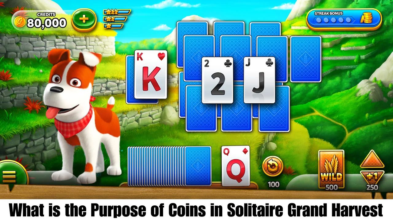 What is the Purpose of Coins in Solitaire Grand Harvest